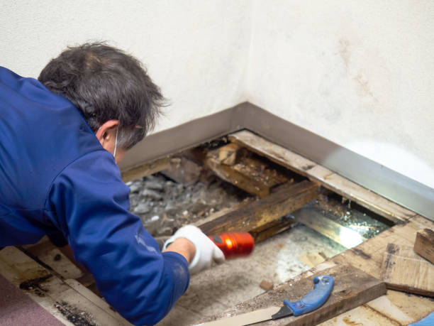 Best Crawl Space Mold Removal  in Lake Mary Jane, FL