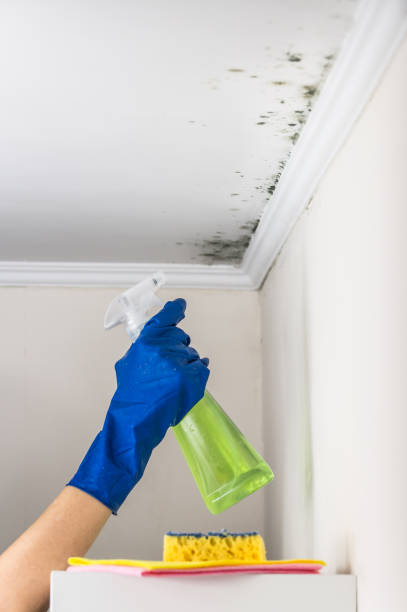Crawl Space Mold Removal in Lake Mary Jane, FL